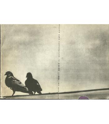 ΤΟ ΣΙΝΙΚΟΝ ΤΕΙΧΟΣ