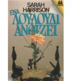 ΕΝΑ ΛΟΥΛΟΥΔΙ ΑΝΘΙΖΕΙ