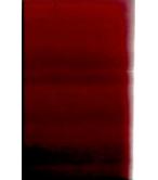 ΝΕΩΤΑΤΟΣ ΘΕΡΑΠΕΥΤΙΚΟΣ ΟΔΗΓΟΣ ΤΟΥ 1950