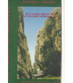 ΤΟ ΦΑΡΑΓΓΙ ΤΟΥ ΚΟΤΣΥΦΟΥ