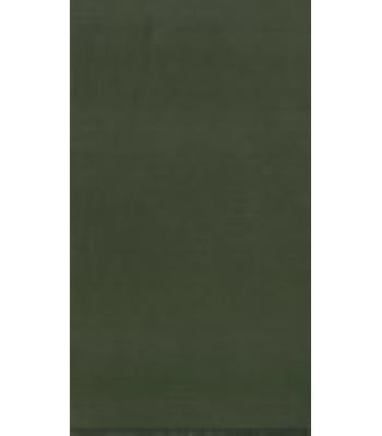 Ο ΜΕΤΕΩΡΟΣ ΑΝΘΡΩΠΟΣ