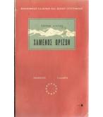ΧΑΜΕΝΟΣ ΟΡΙΖΩΝ ΧΑΜΕΝΟΣ ΟΡΙΖΩΝ