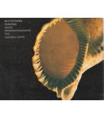 ΠΡΟΣΑΝΑΤΟΛΙΣΜΟΙ ΣΤΟ ΑΙΓΑΙΟ-ΦΩΤΟΓΡΑΦΙΚΗ ΠΟΙΗΤΙΚΗ ΣΤΟΥΣ ΠΡΟΣΑΝΑΤΟΛΙΣΜΟΥΣ ΤΟΥ ΟΔΥΣΣΕΑ ΕΛΥΤΗ ΠΡΟΣΑΝΑΤΟΛΙΣΜΟΙ ΣΤΟ ΑΙΓΑΙΟ-ΦΩΤΟΓΡΑΦΙΚΗ ΠΟΙΗΤΙΚΗ ΣΤΟΥΣ ΠΡΟΣΑΝΑΤΟΛΙΣΜΟΥΣ ΤΟΥ ΟΔΥΣΣΕΑ ΕΛΥΤΗ